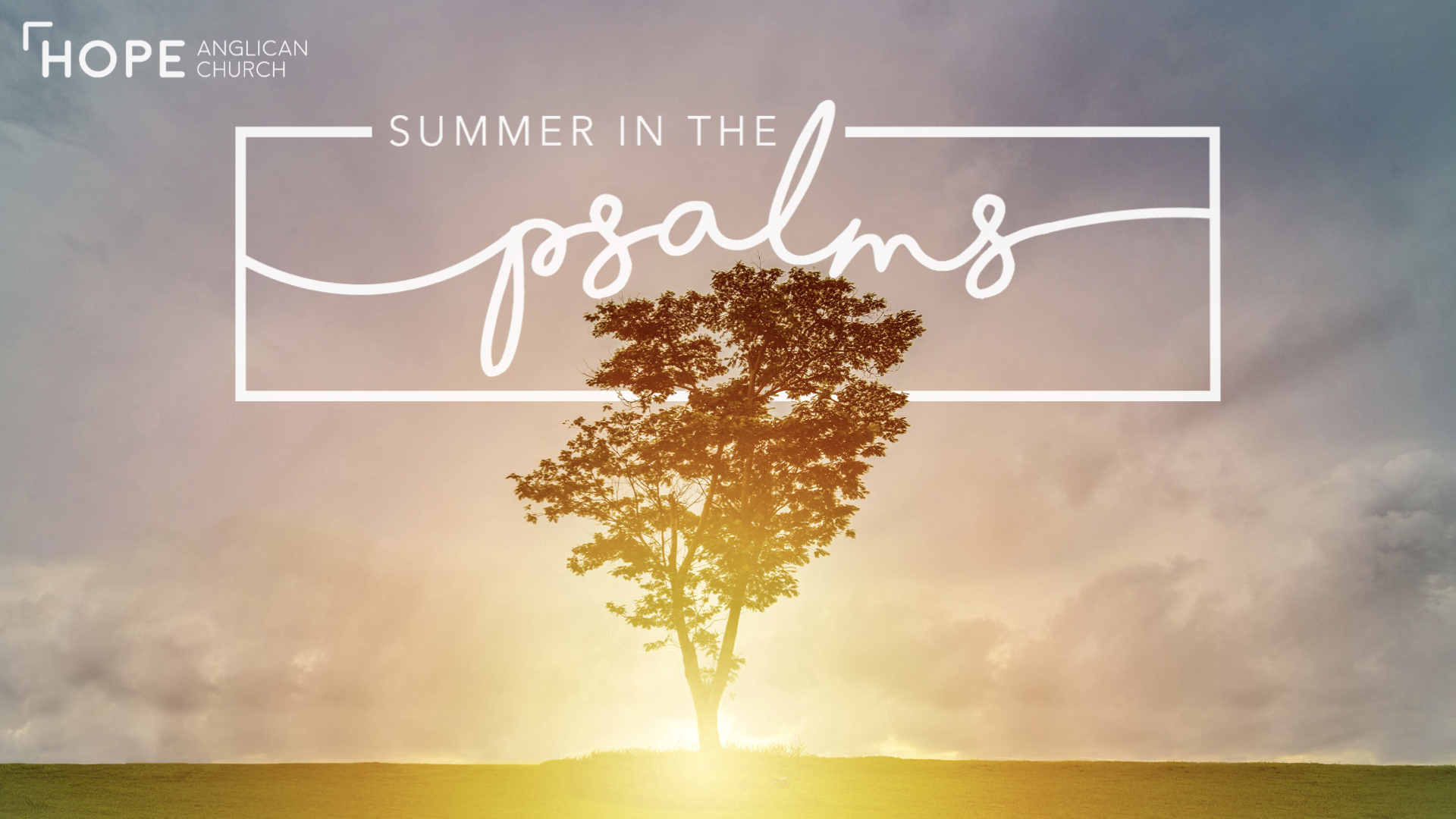 Summer in the Psalms_TitleSlide.001